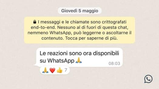 https://www.mistergadget.tech/wp-content/uploads/2022/05/Come-si-mettono-le-reazioni-WhatsApp-524x295.jpg