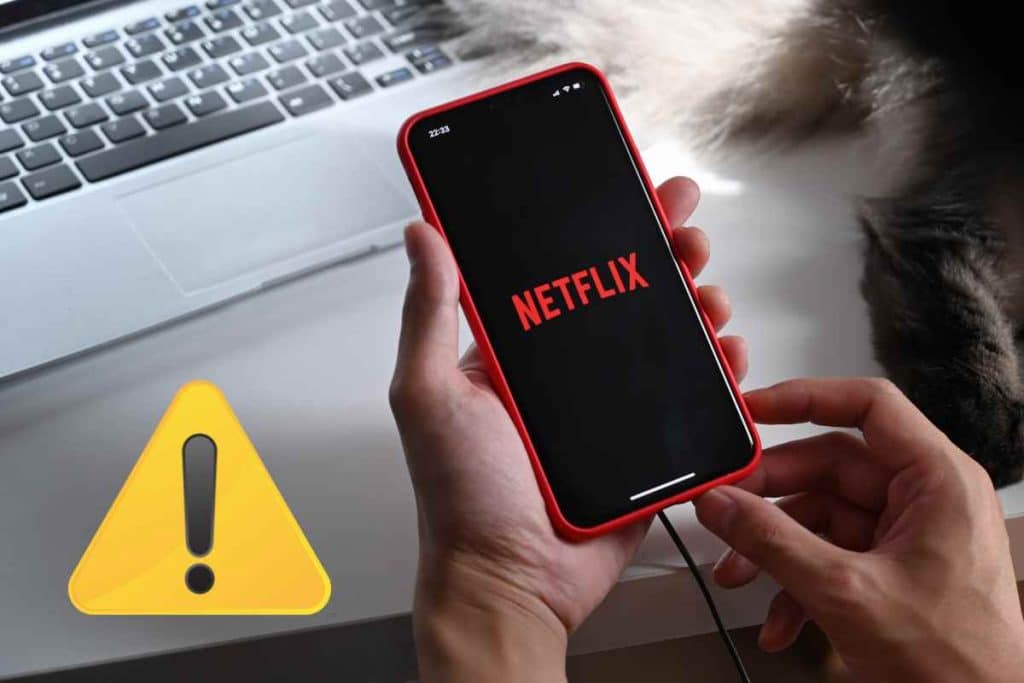 Netflix? No, è un fake ma quando te ne rendi conto ormai è tardi