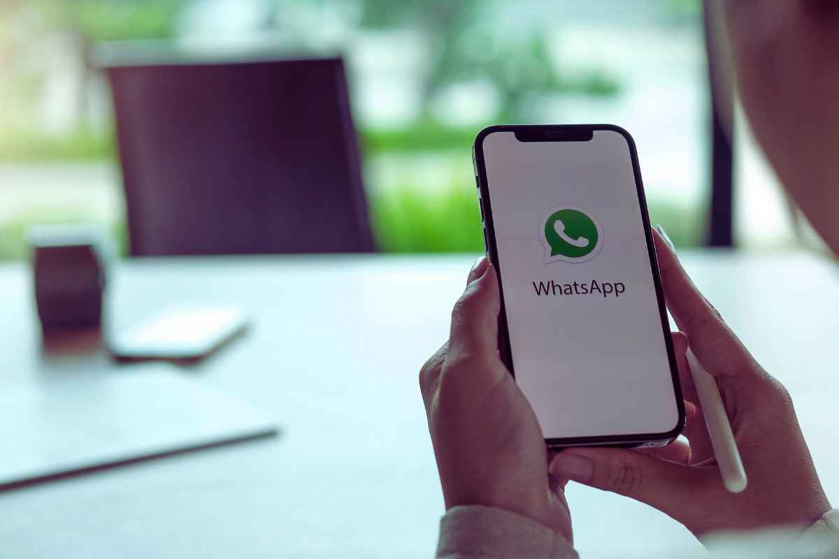 Hai mai controllato il tuo cestino Whatsapp