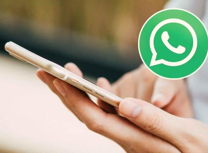 Whatsapp ha un pulsante segreto