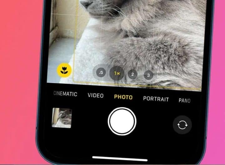 Cosa rappresenta l'icona del fiore nell'app fotocamera degli iPhone?