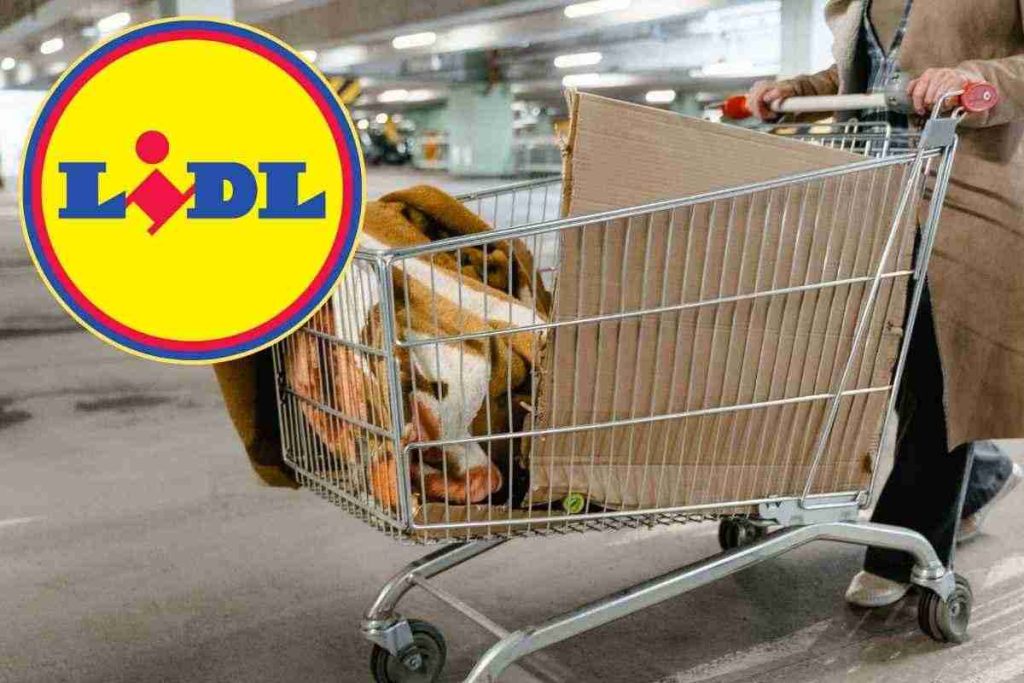 Rivoluzione Lidl, ci sono già lunghe file negli store