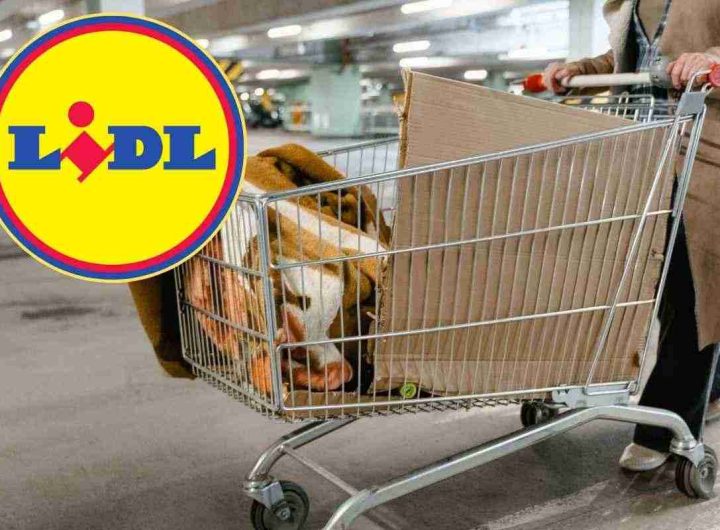 Rivoluzione Lidl, ci sono già lunghe file negli store