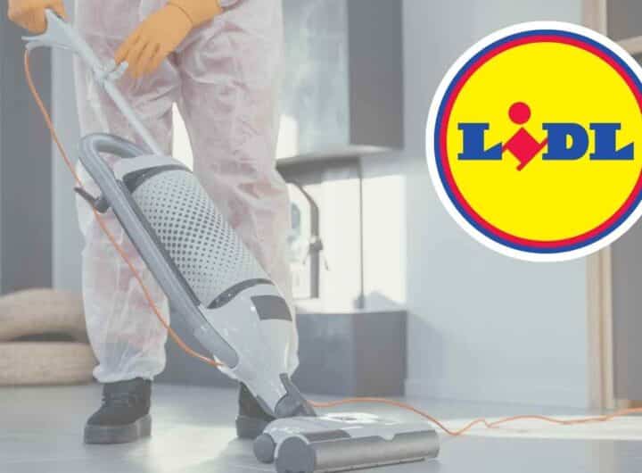 LIDL da non perdere: praticamente la sta regalando