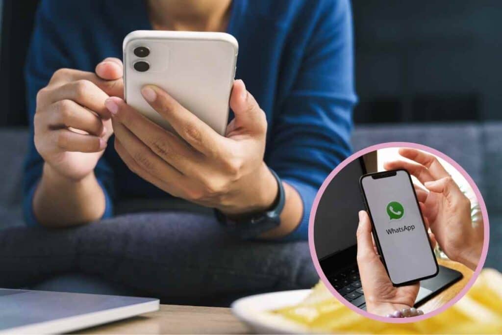 Whatsapp fa un regalo agli utenti