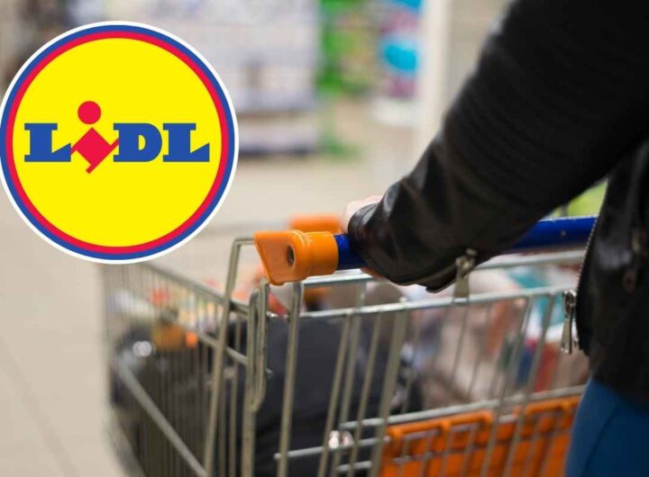 Lidl prezzo assurdo